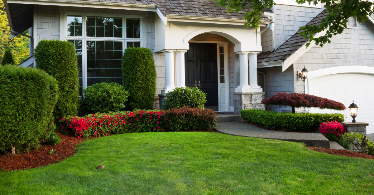 Softscaping & Lighting