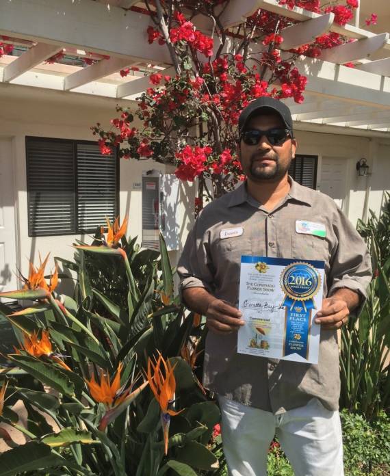 1st place-2016 Flower show