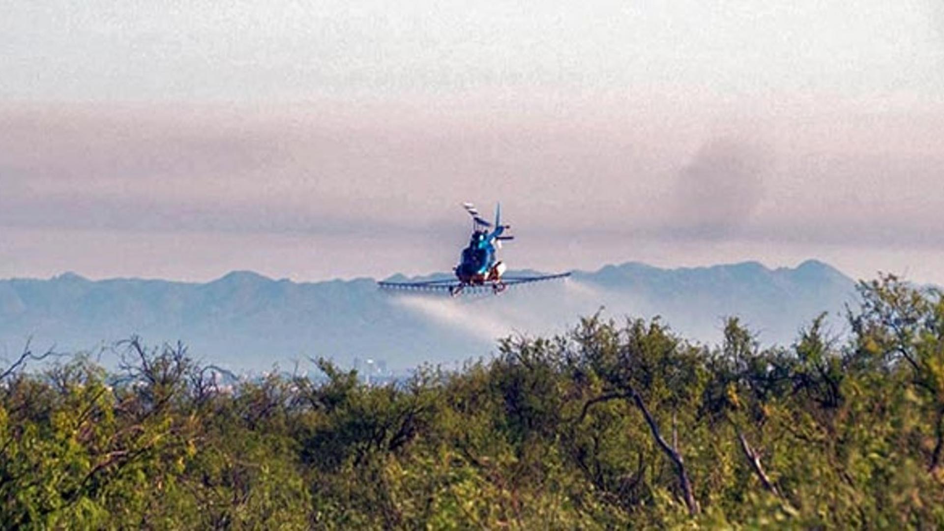 Brush Management and Weed Abatement