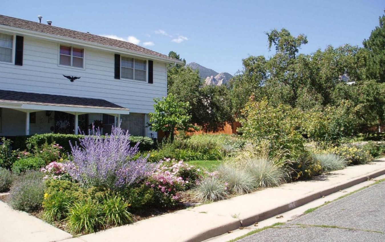 Water-Wise Landscaping